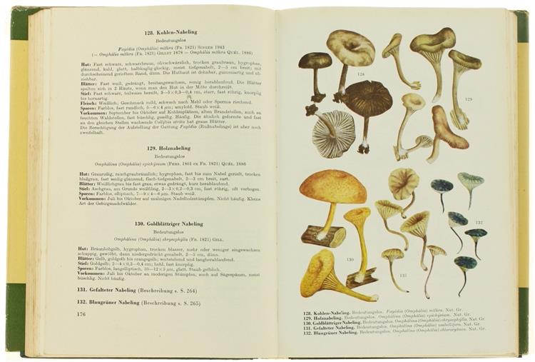 Handbuch Für Pilzfreunde. Band III. Hellblätter und Leistlinge