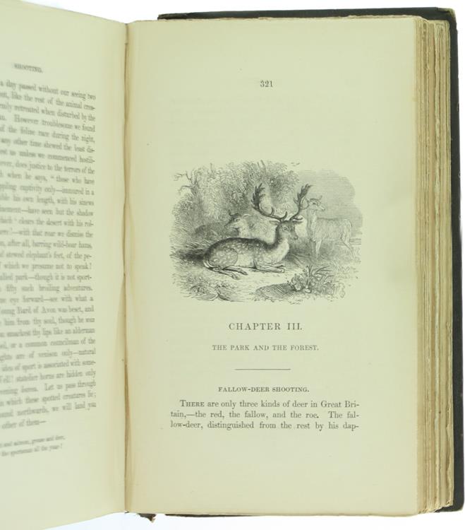 The Rod and the Gun Being Two Treatises on Angling and Shooting