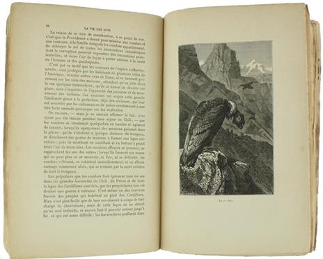 La Vie des Bois et du Desert. Récits de Chasse et de Pêche Avec Deux Histoires Inédites Par A. Dumas Pére - Bénédict Henry Révoil - 2