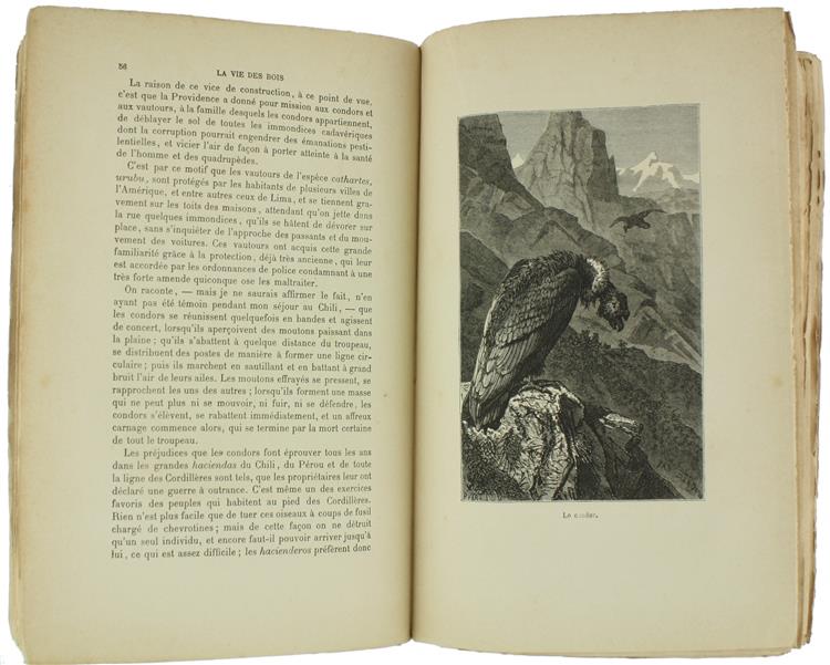 La Vie des Bois et du Desert. Récits de Chasse et de Pêche Avec Deux Histoires Inédites Par A. Dumas Pére