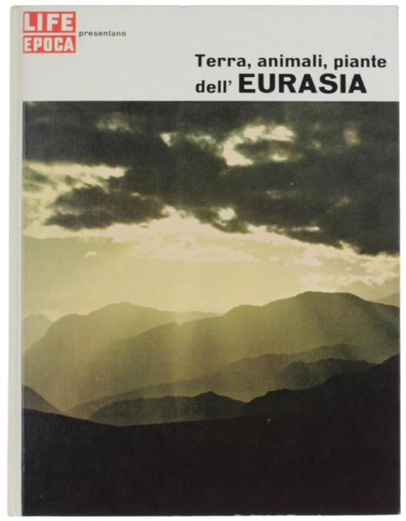 Bergoglio Libri d'Epoca Snc