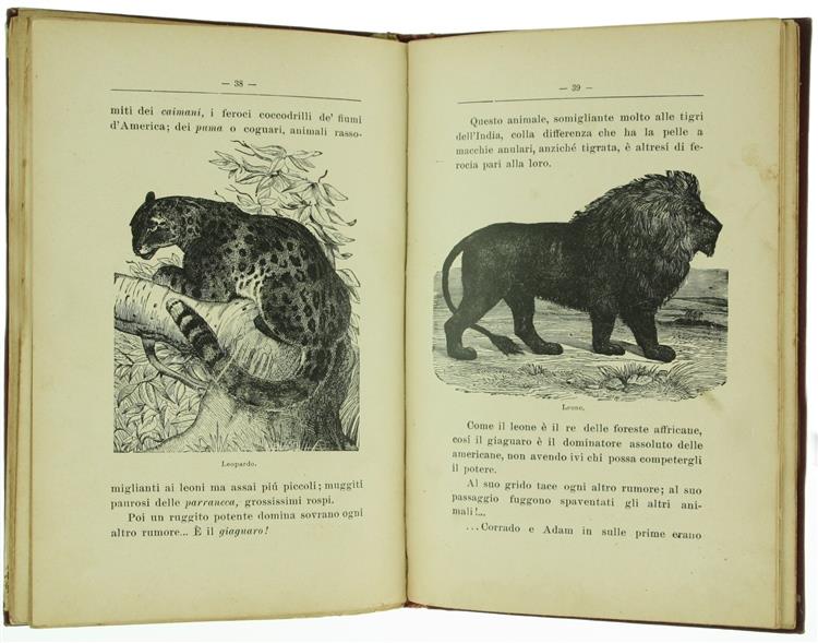 Il Piccolo Eroe dell'Amazonas