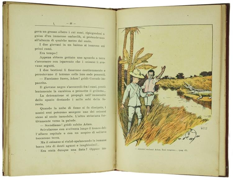 Il Piccolo Eroe dell'Amazonas