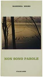 Non Sono Parole