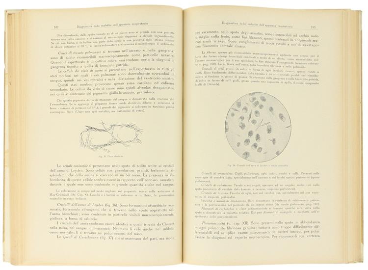 Elementi di Diagnostica Clinica