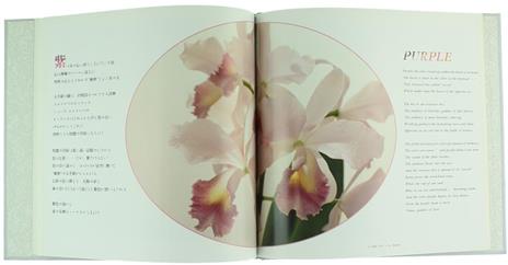 The Orchid - Kijima Takashi - 2