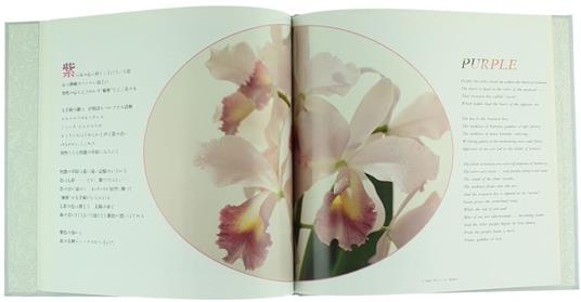The Orchid - Kijima Takashi - 2