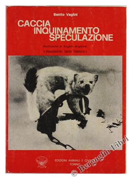 Caccia - Inquinamento - Speculazione. Uomo e Natura in un Rapporto Diverso - Benito Vaglini - copertina