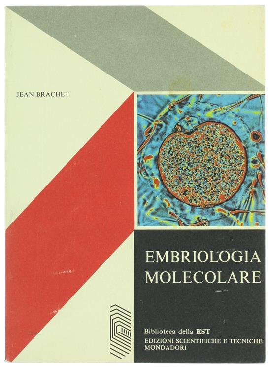 Bergoglio Libri d'Epoca Snc