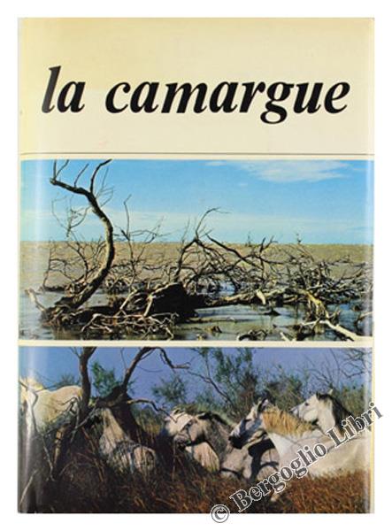 Bergoglio Libri d'Epoca Snc