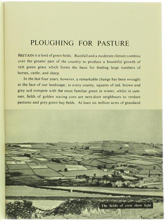 Ploughing for Pasture - H. I. Moore - 2