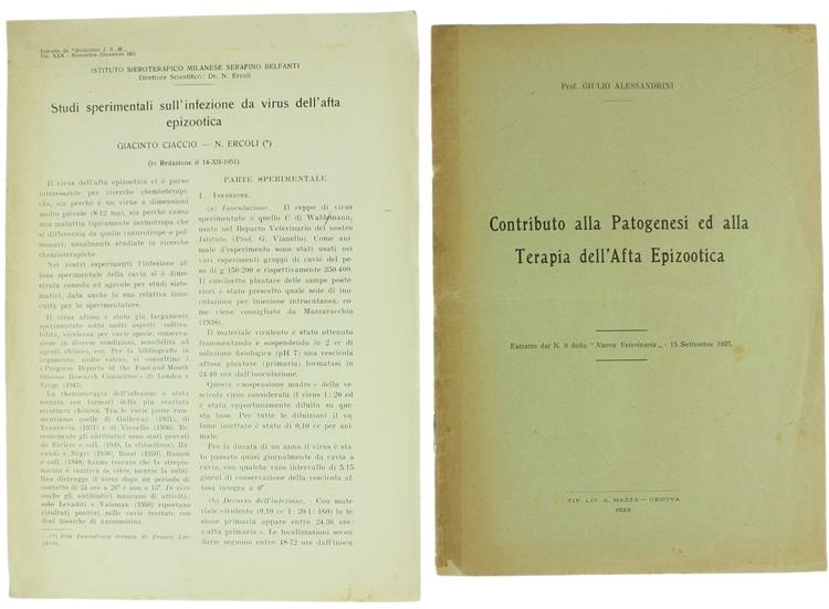 Bergoglio Libri d'Epoca Snc