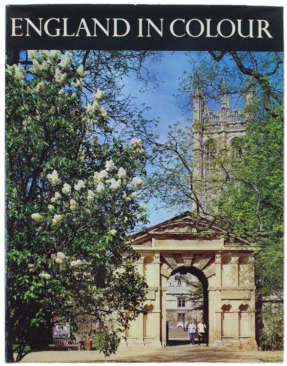 Bergoglio Libri d'Epoca Snc