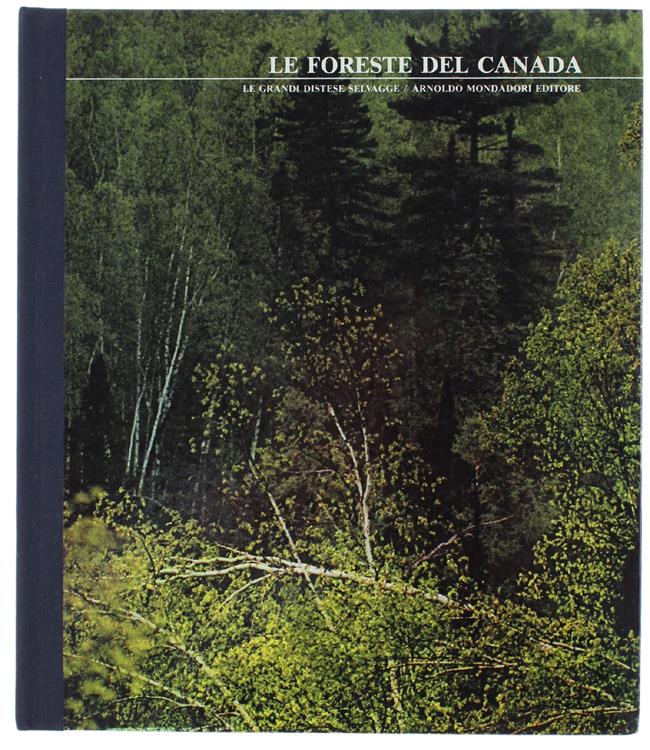 Bergoglio Libri d'Epoca Snc