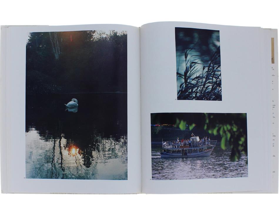 Immagini di una Torino da Vivere