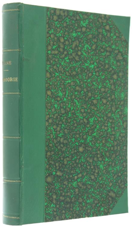 Bergoglio Libri d'Epoca Snc