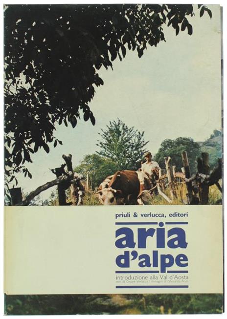 Aria d'Alpe. Introduzione alla Val d'Aosta - Cesare Verlucca - 2