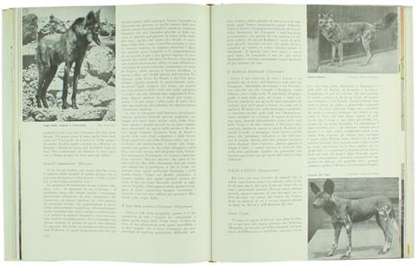 Il Libro dei Mammiferi - Ivan T. Sanderson - 2