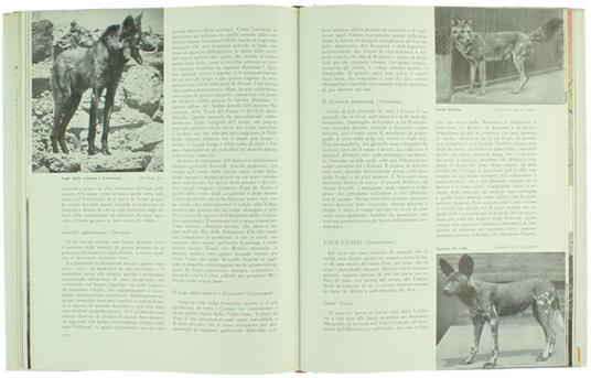 Il Libro dei Mammiferi - Ivan T. Sanderson - 2