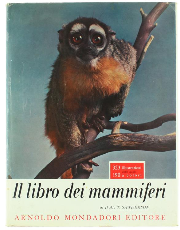 Bergoglio Libri d'Epoca Snc