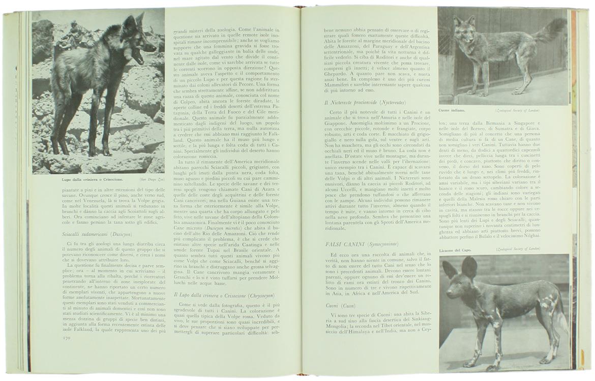 Il Libro dei Mammiferi