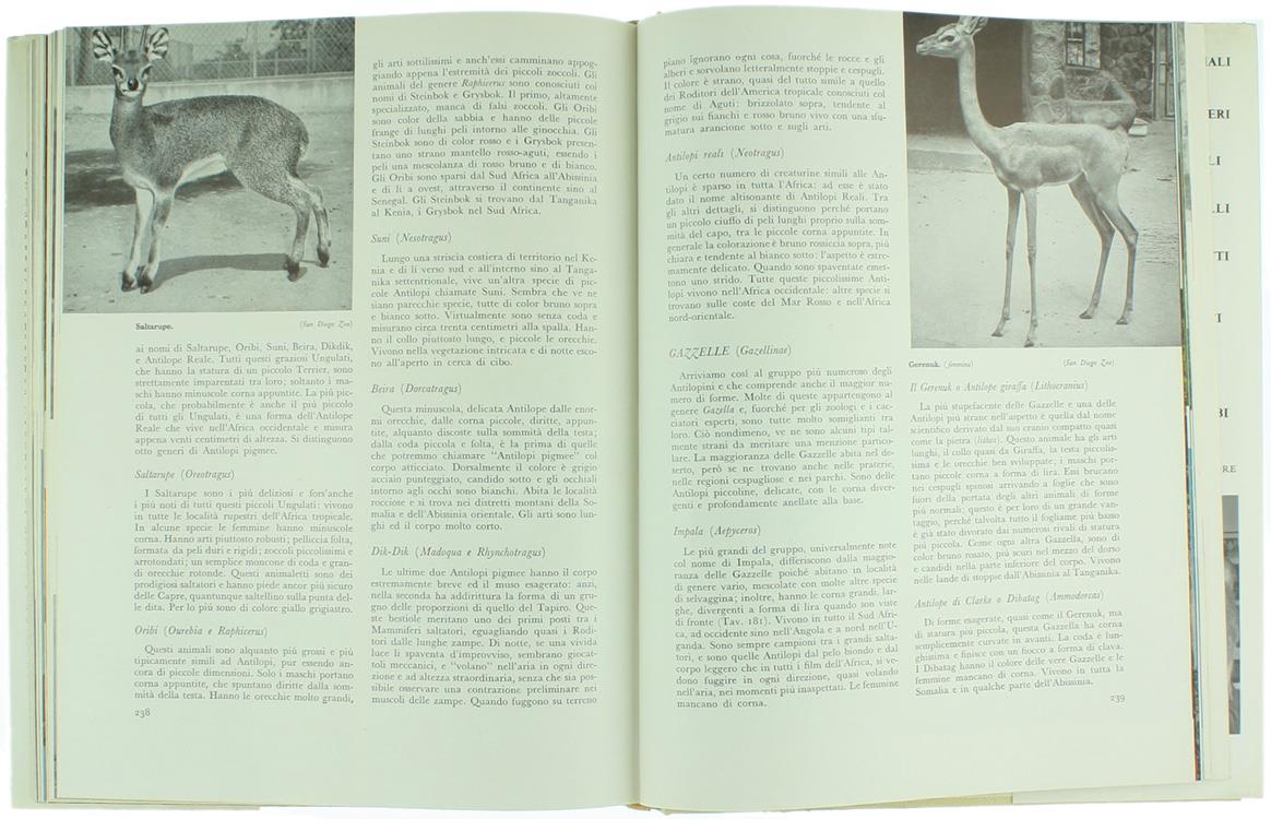 Il Libro dei Mammiferi