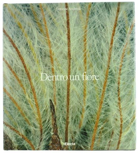 Dentro un Fiore - Vittorino Andreoli - copertina