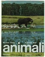 Il Mondo degli Animali