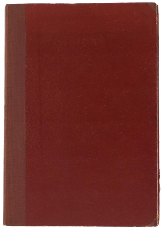 La Neige sur les Pas. Roman