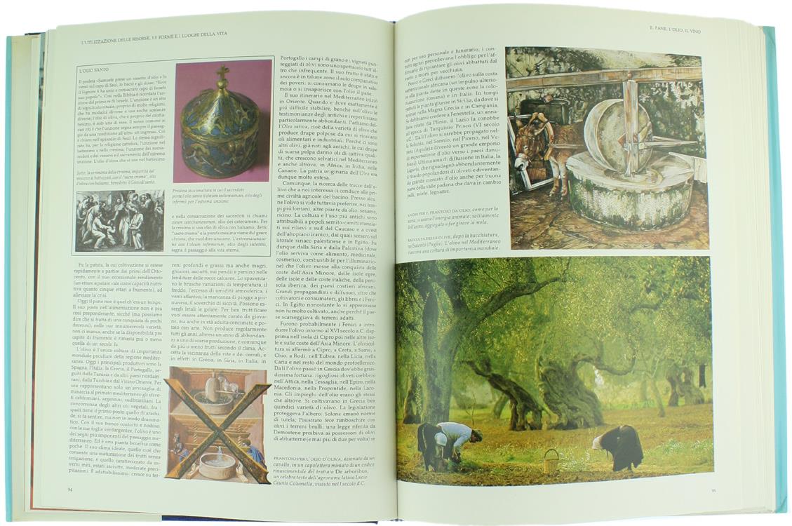 Civiltà del Mediterraneo. Chi siamo e come eravamo. Il fascino delle nostre origini