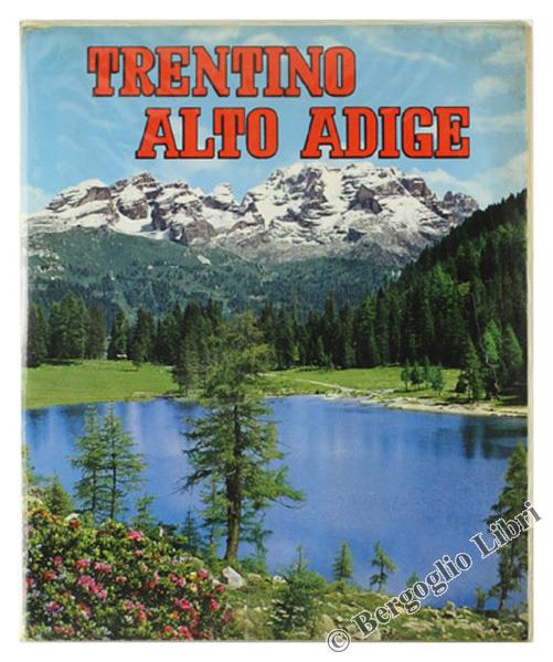 Bergoglio Libri d'Epoca Snc