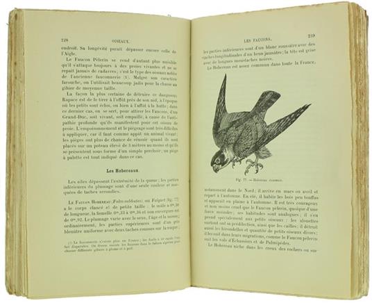 Zoologie Agricole - Georges Guénaux - 2