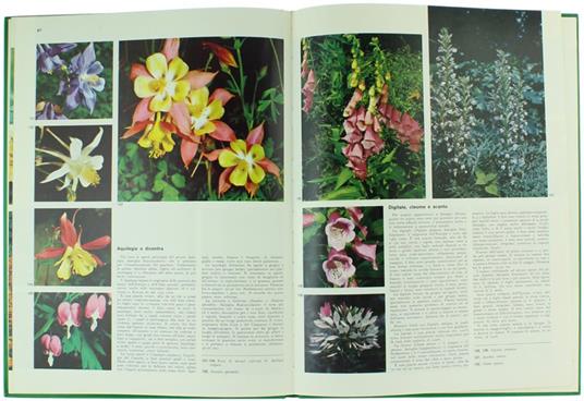 Conoscere e Coltivare i Fiori - Uberto Tosco - 2