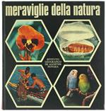 Meraviglie della Natura