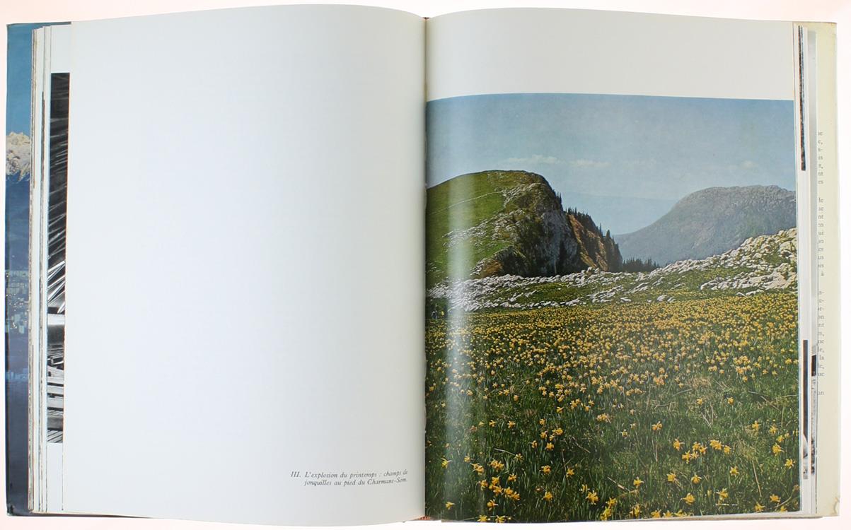 Grenoble Capitale Alpine