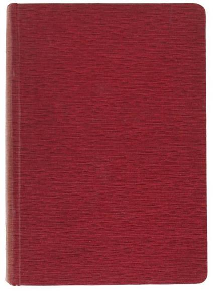 Robespierre - Mario Mazzucchelli - copertina