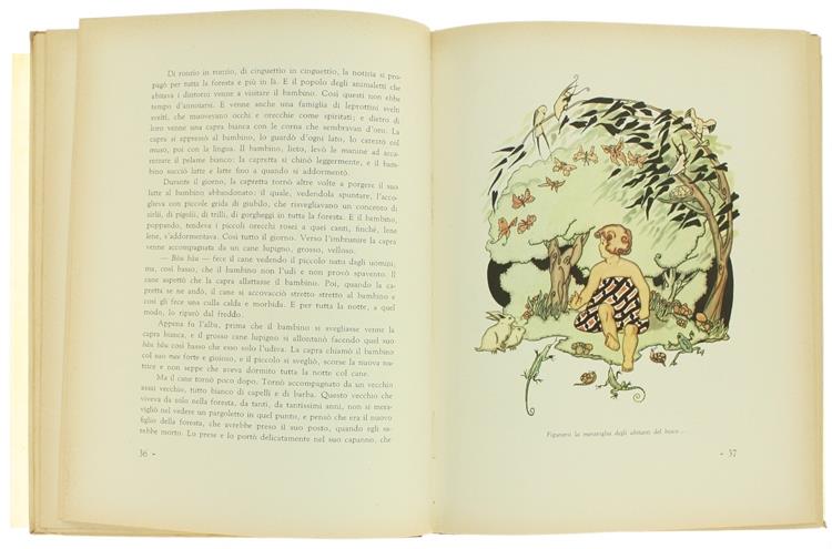 Il Reuccio Degli Uccelli. Racconto Fiabesco