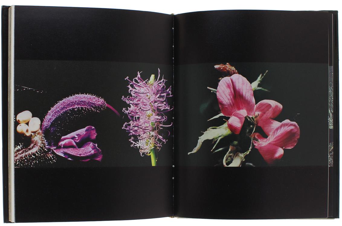 I Grandi Laghi Prealpini