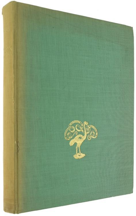 Michelangelo Fino Alla Sistina - Aldo Bertini - copertina