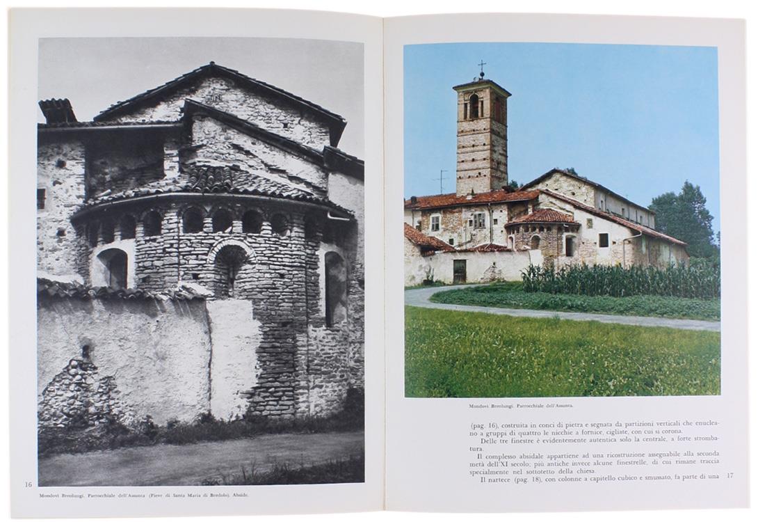 Antologia Artistica Del Monregalese