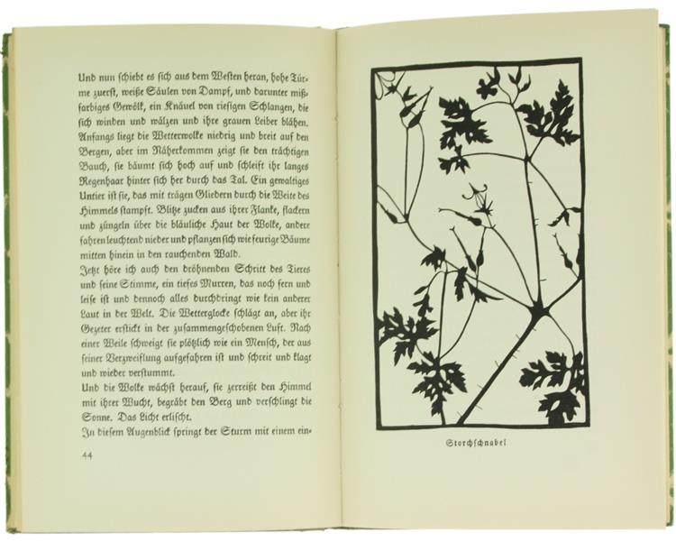 Das Wiesenbuch. Mit 16 Scherenschnitten Des Verfassers