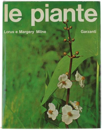 Le Piante - Lorus Milne - copertina
