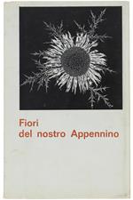 Fiori Del Nostro Appennino. Primavera Estate Autunno Nell'appennino Tosco-Emiliano