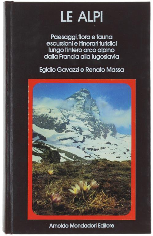 Bergoglio Libri d'Epoca Snc