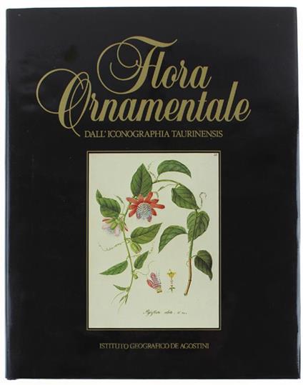 Flora Ornamentale Dall'Iconografia Taurinensis - Franco Montacchini - copertina