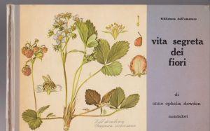 Vita segreta dei fiori - Anne Ophelia Dowden - copertina