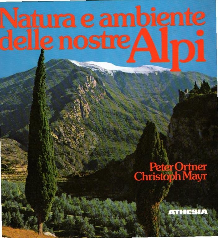 Libroteka di Fattoretti Silvia