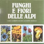 Funghi E Fiori Delle Alpi