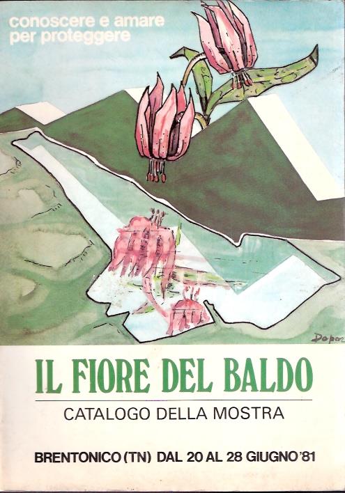 Libroteka di Fattoretti Silvia