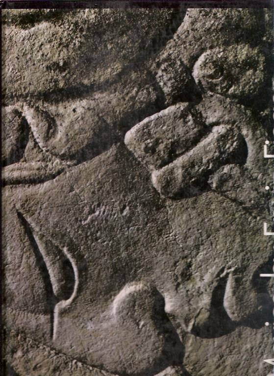 Libroteka di Fattoretti Silvia